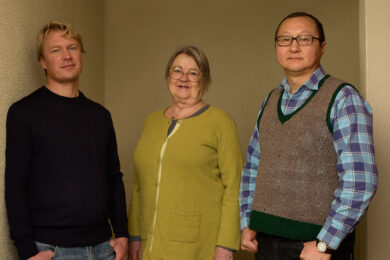 Timanställd rådgivare till Brottsofferjourens nationella stödlinje 116 006